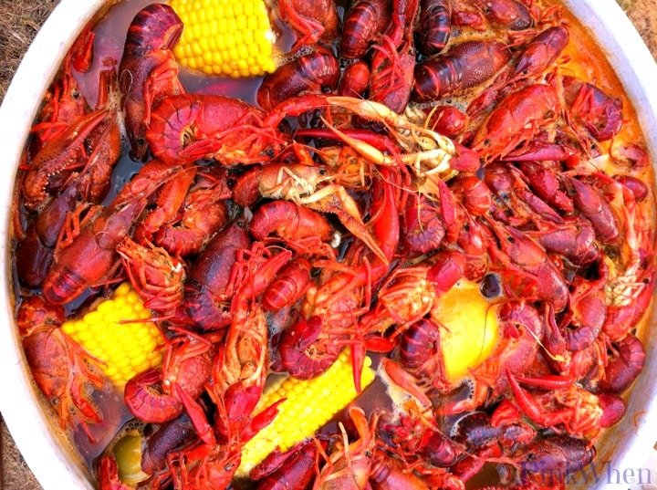 Southern Style Crawfish Boil Recipe