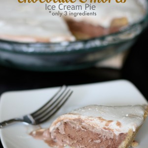 Frozen Chocolate S'mores Ice Cream Pie that takes less than 5 minutes to make and only has 3 ingredients PinkWhen.com