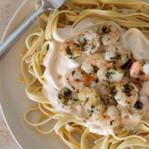 Shrimp Alfredo Pasta