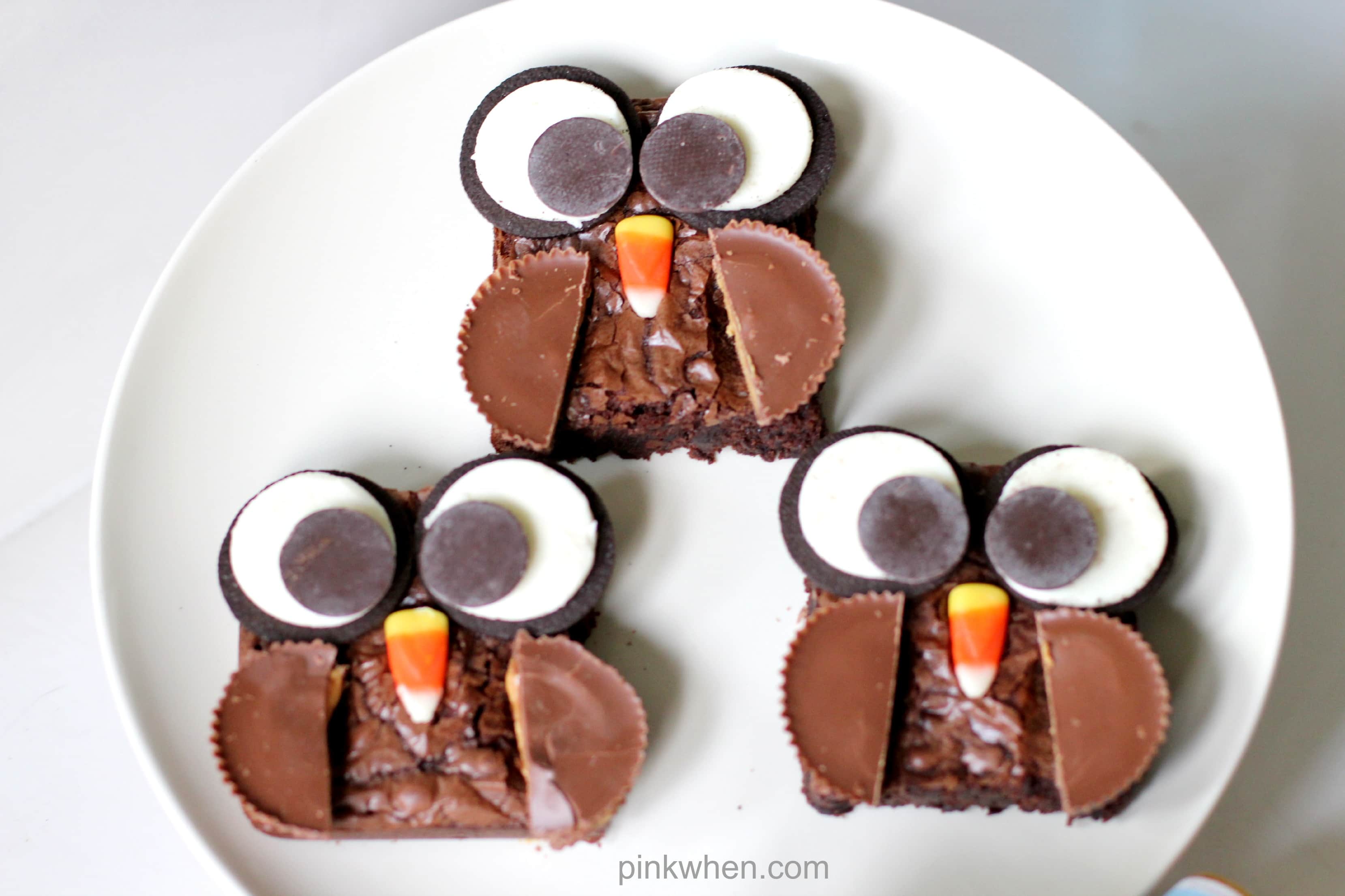 Super cute Brownie Owl Treat from PinkWhen.com