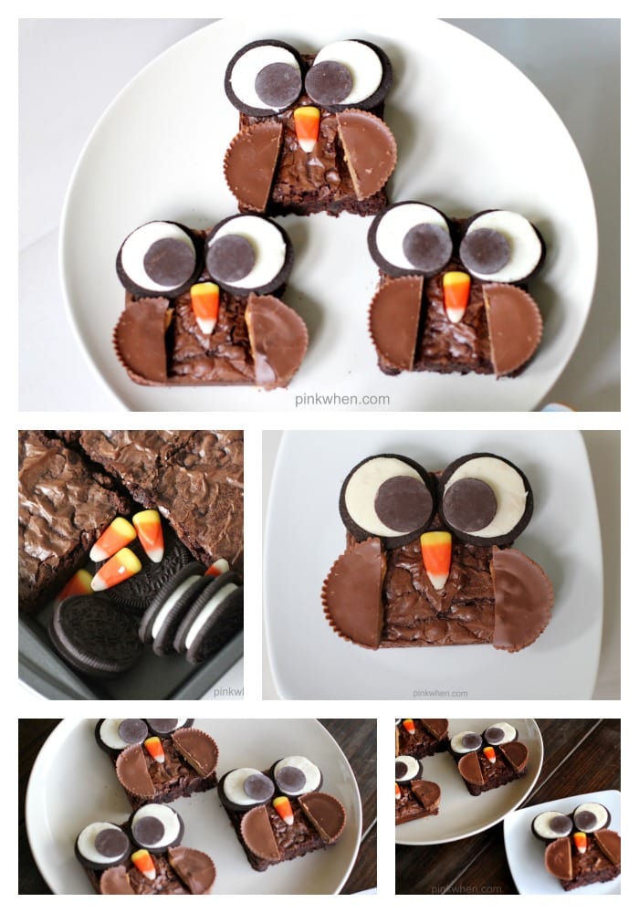 Delicious Brownie Owl Treats from PinkWhen.com 1