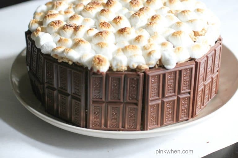 S'mores Cake Recipe on a white plate. 