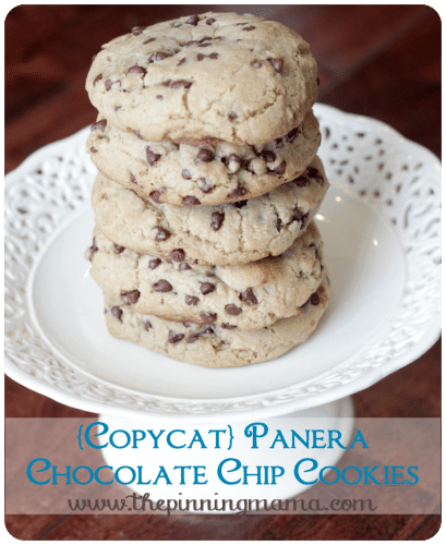 Copycat Panera Chocolate Chip Cookies are just one of the amazing chocolate chip cookie recipes you can find here. 