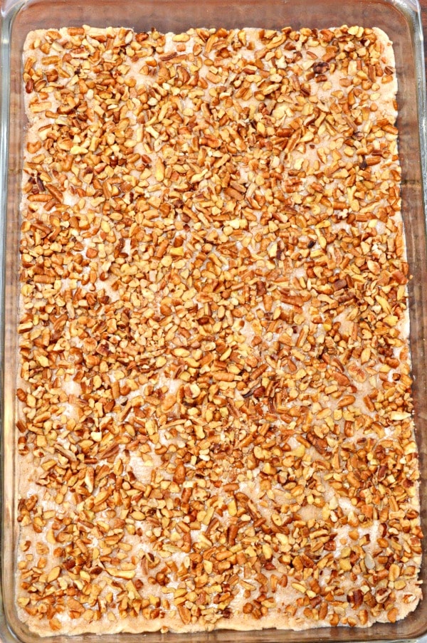 Cinnamon Nut Squares Dessert Recipe | PinkWhen