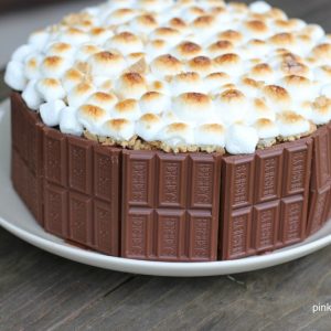 Smores Cake on white plate and on top of a wooden table
