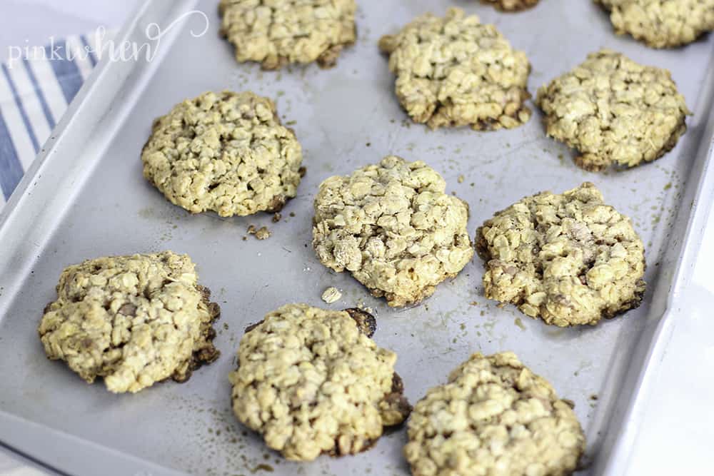 oatmeal cookie recipe oatmeal chocolate chip cookies recipe