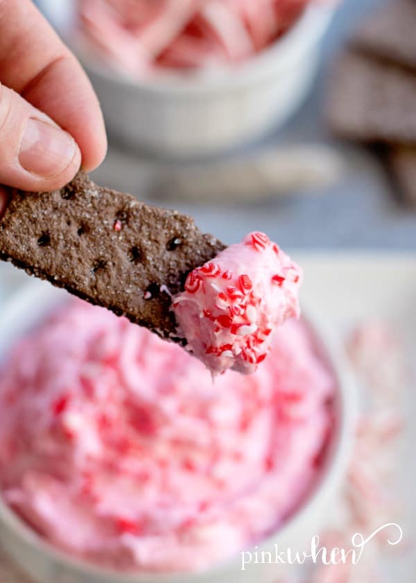 Cream Cheese holiday dip with graham cracker