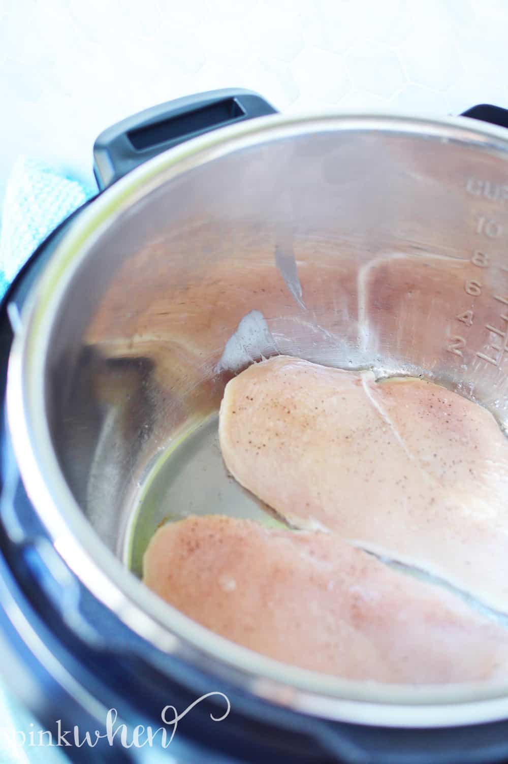 seasoned chicken ready to cook in the Instant Pot