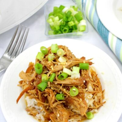 Crock Pot Teriyaki Chicken 4