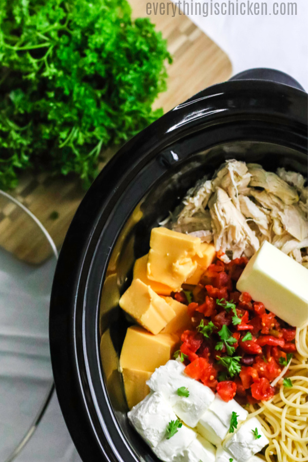 Crock Pot Chicken Spaghetti 6