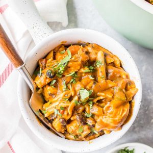 pumpkin chicken enchilada pasta in a bowl