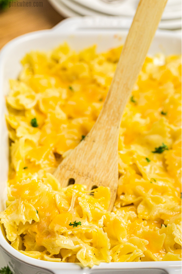 Bowtie Mac and Cheese copy copy copy copy copy copy