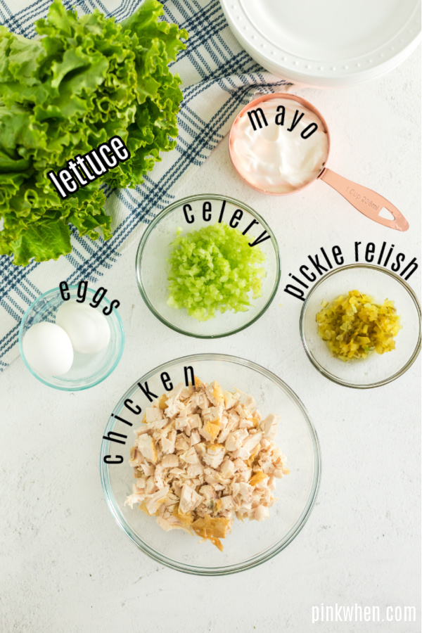 Chicken salad ingredients - labeled