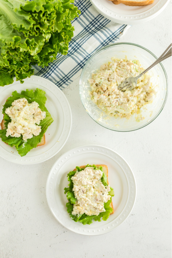 Chicken salad scooped onto bread with lettuce.