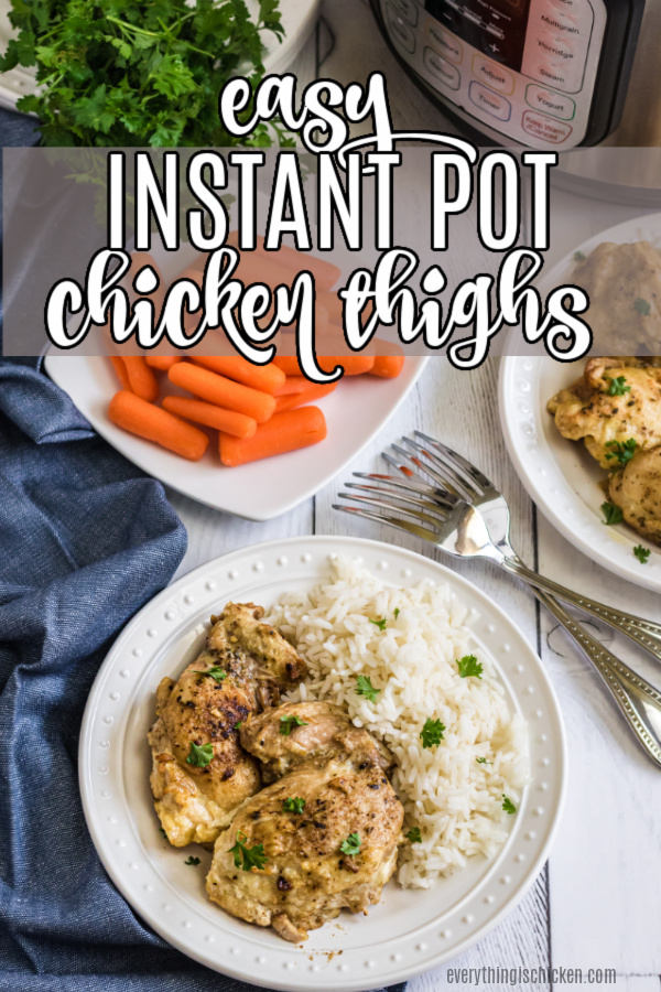 Chicken Thighs made in the pressure cooker on a plate. 