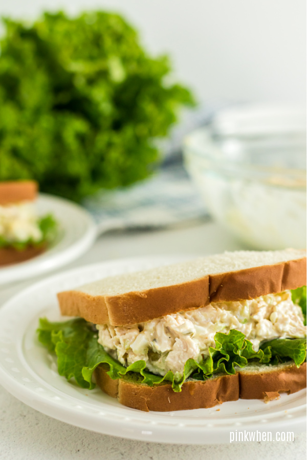 Chicken salad sandwich on a plate and ready to serve.