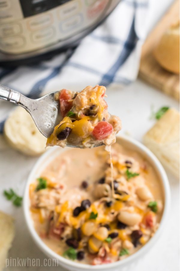 A spoonful of chicken chili about to eat.