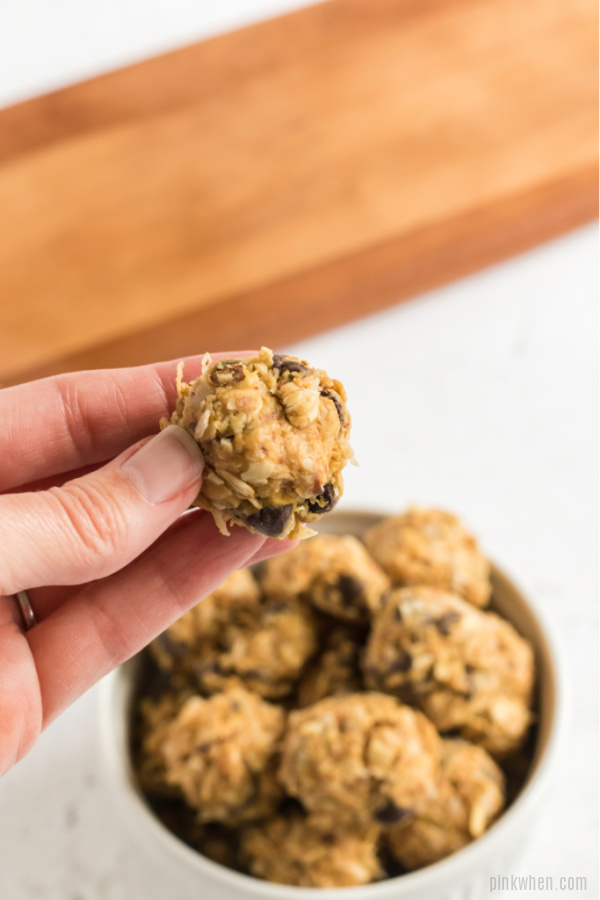 Protein Balls copy copy copy copy copy