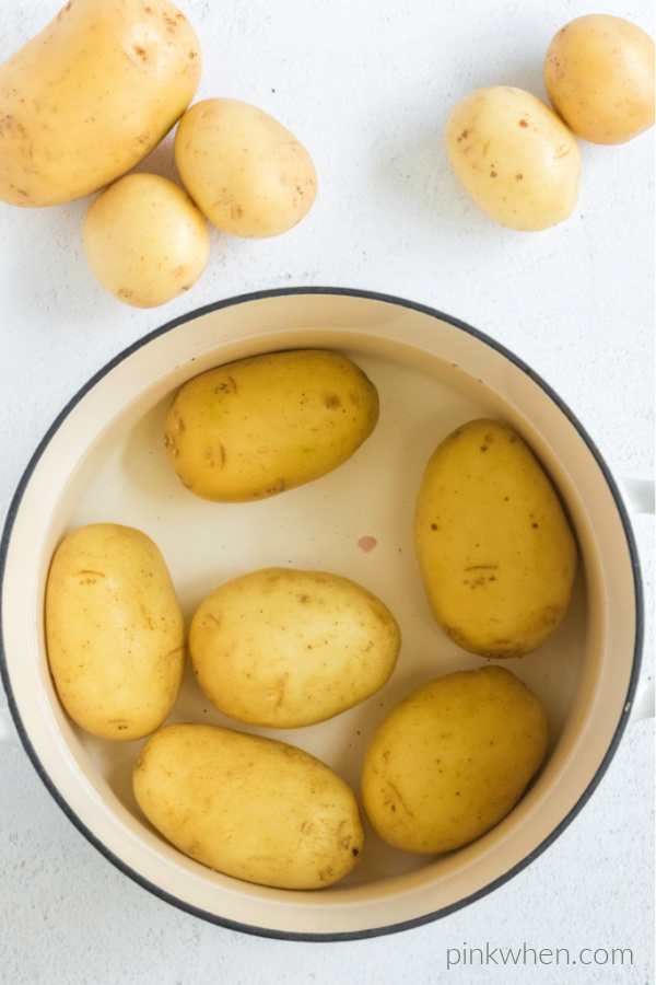 potatoes in a large pot ready to cook.