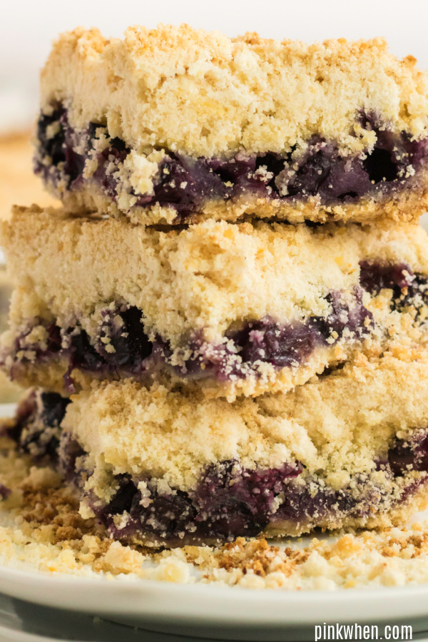 Blueberry Crumb Bars copy copy