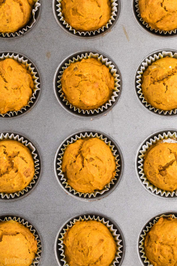 pumpkin muffins in a muffin tin.