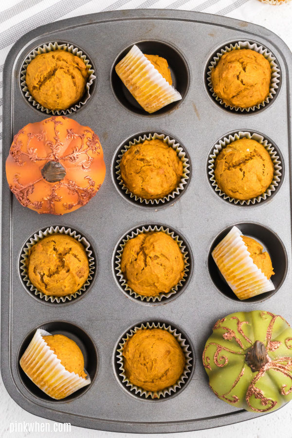 Pumpkin Muffins