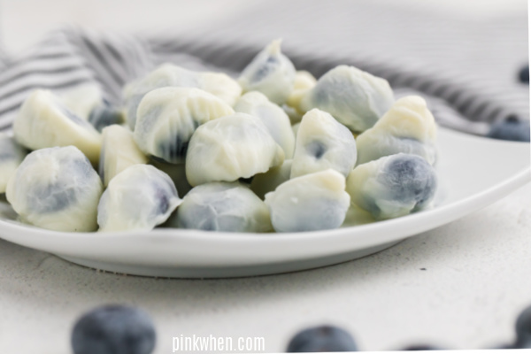 Frozen Yogurt Bites on a white plate