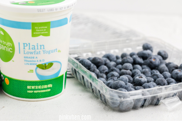 Plain yogurt and blueberries for yogurt bites. 