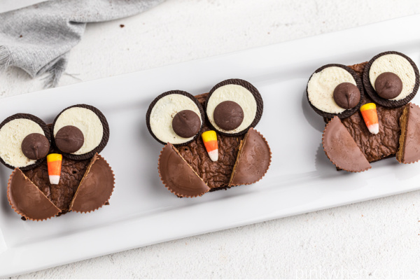 Brownies made into owls and served on a white plate. 