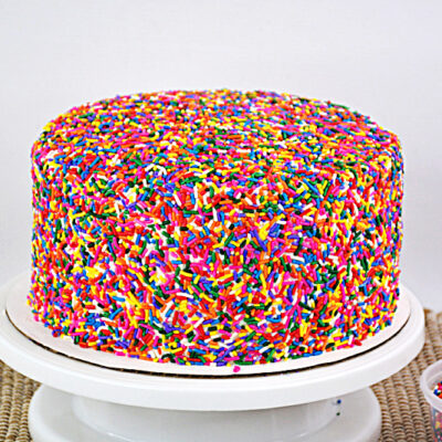 Chocolate Rainbow Sprinkle Cake 15