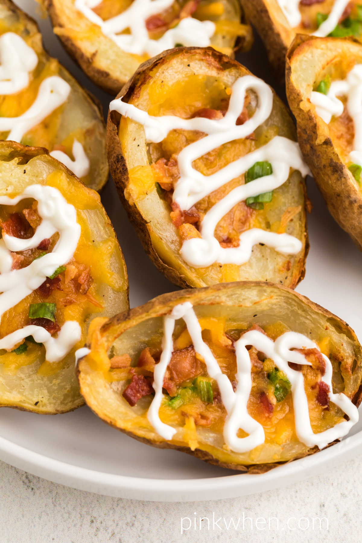 Air Fryer Potato Skins copy