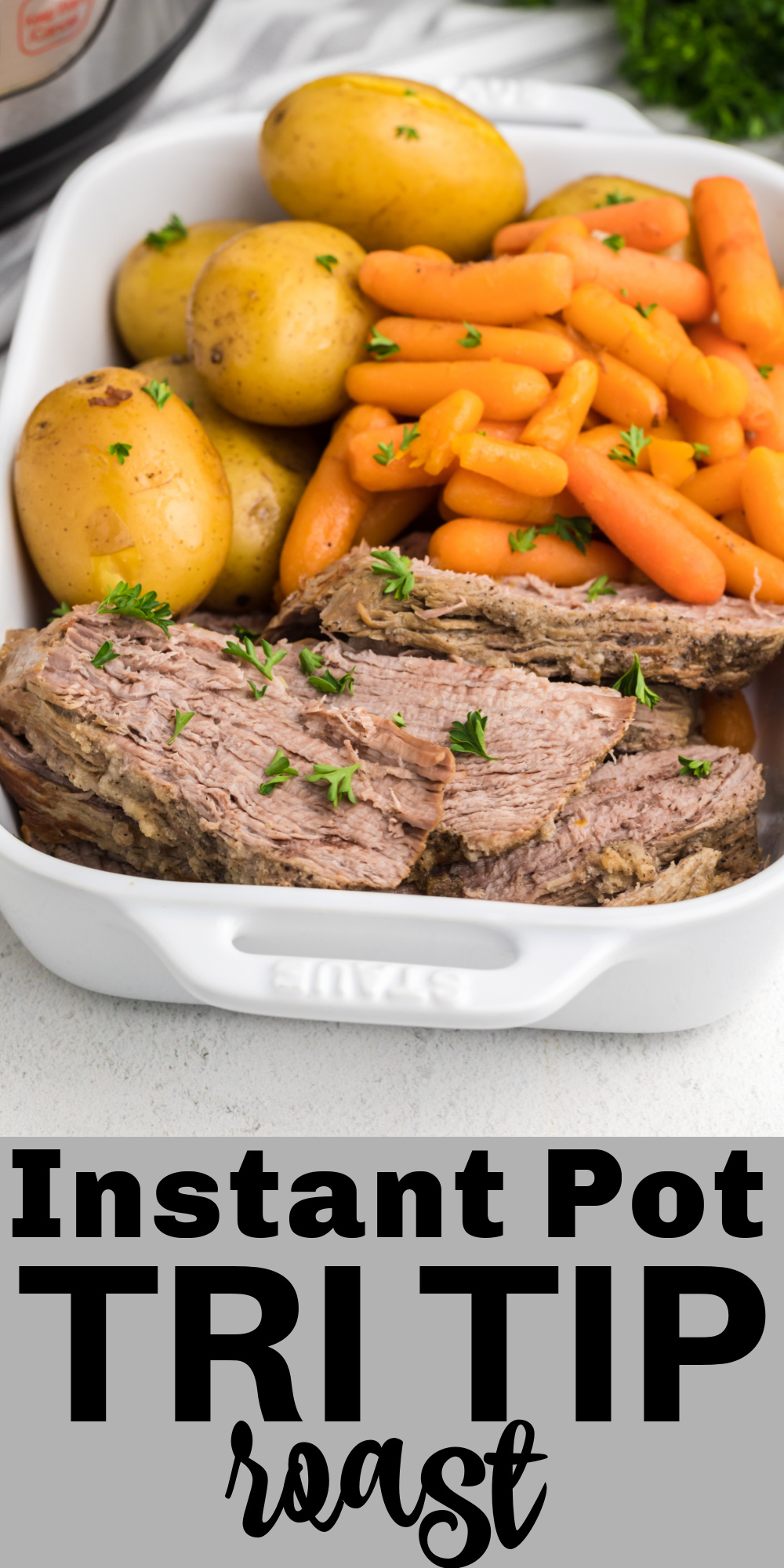 This Instant Pot Tri Tip recipe is made with vegetables and seasonings that will make this dish melt in your mouth. It's a hearty and filling dinner that's made quick and easy in the pressure cooker.