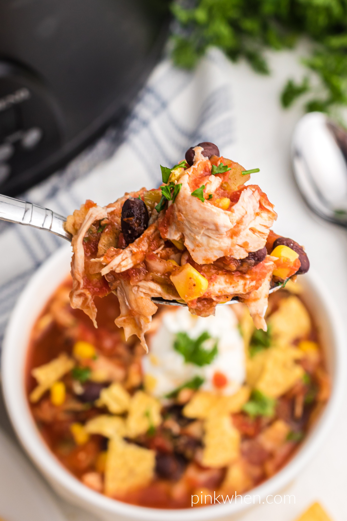 Spoonful of southwestern slow cooker chicken tortilla soup ready to eat. 