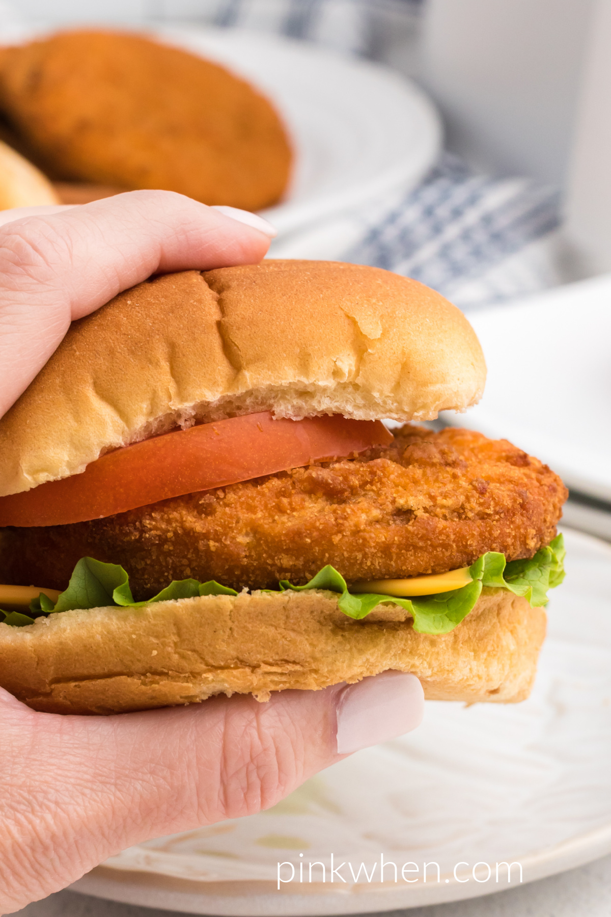 Hand holding a sandwich made with an air fryer from a frozen chicken pattie. Dressed with a bun, cheese, lettuce, and tomato. 