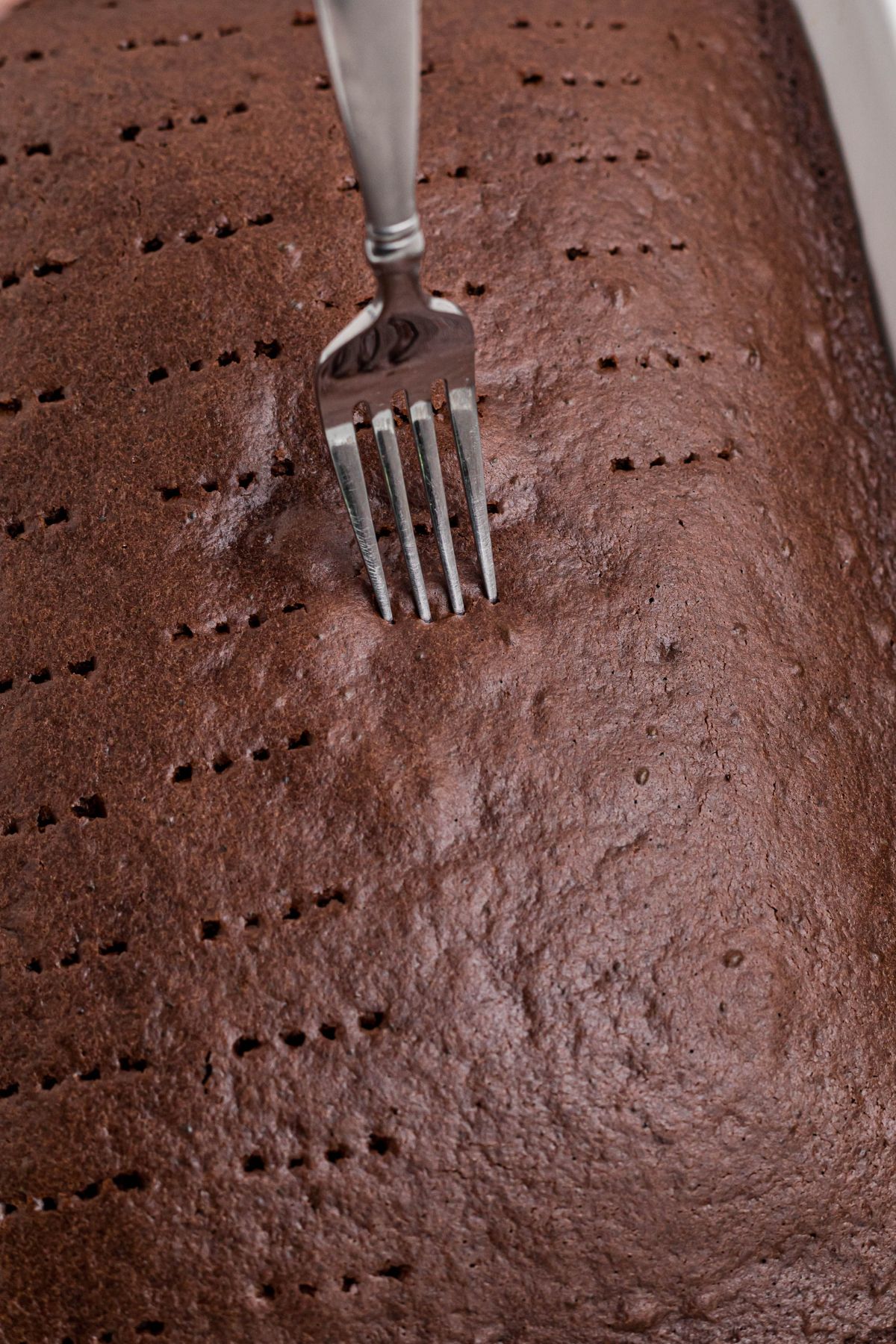 Chocolate baked cake being poked with a fork to make holes