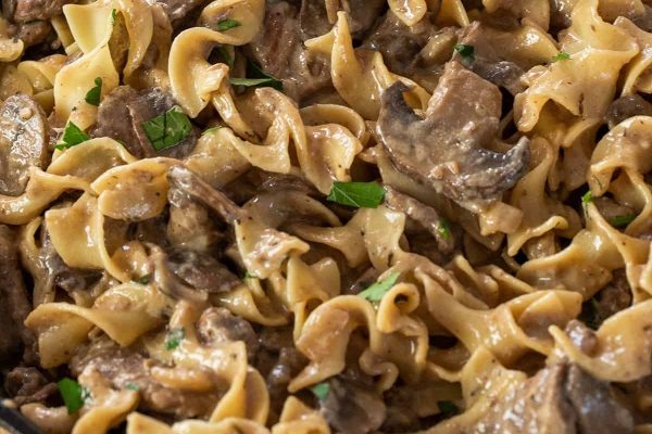 Beef Stroganoff with pasta. 