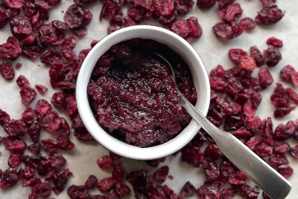Cranberry sauce on a white bowl with dried cranberries. 
