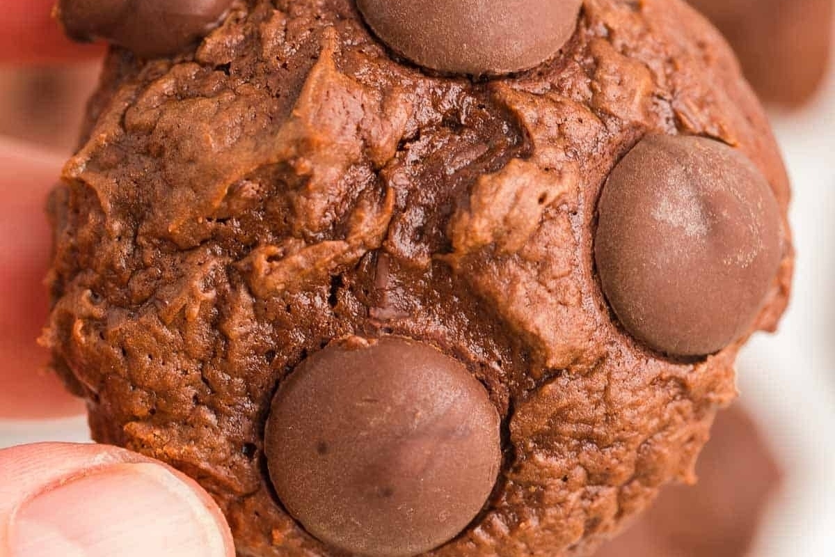 Choc chip cookies with chocolate chips on top.