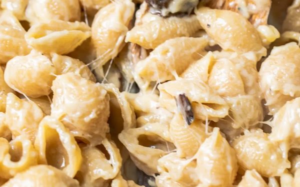 Extra cheesy sauce on shells pasta