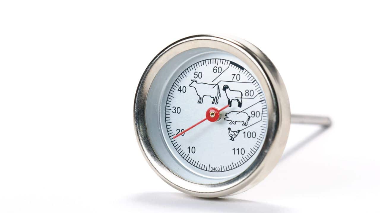 A meat thermometer.