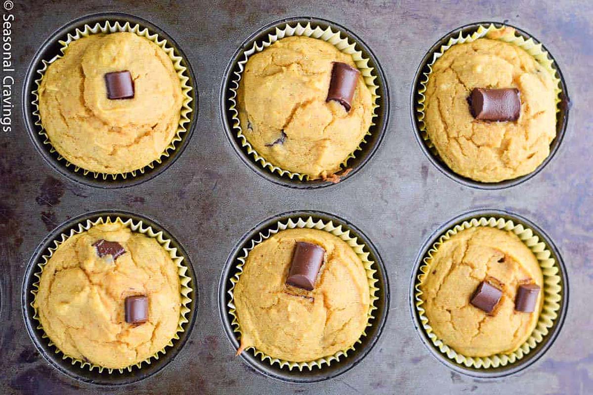 Homemade chocolate chip pumpkin muffins.