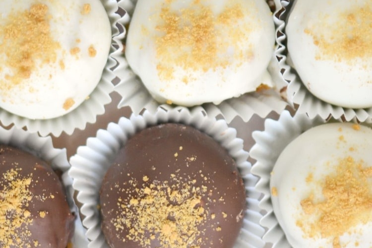 A group of gingerbread-flavored, chocolate, and graham cracker covered cookies.