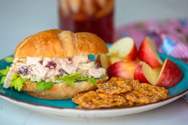 Cranberry chicken salad sandwich on a plate with apples and pretzels.