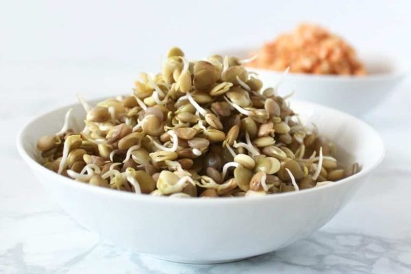 Sprouts in a bowl next to carrots, perfect for pantry staples.