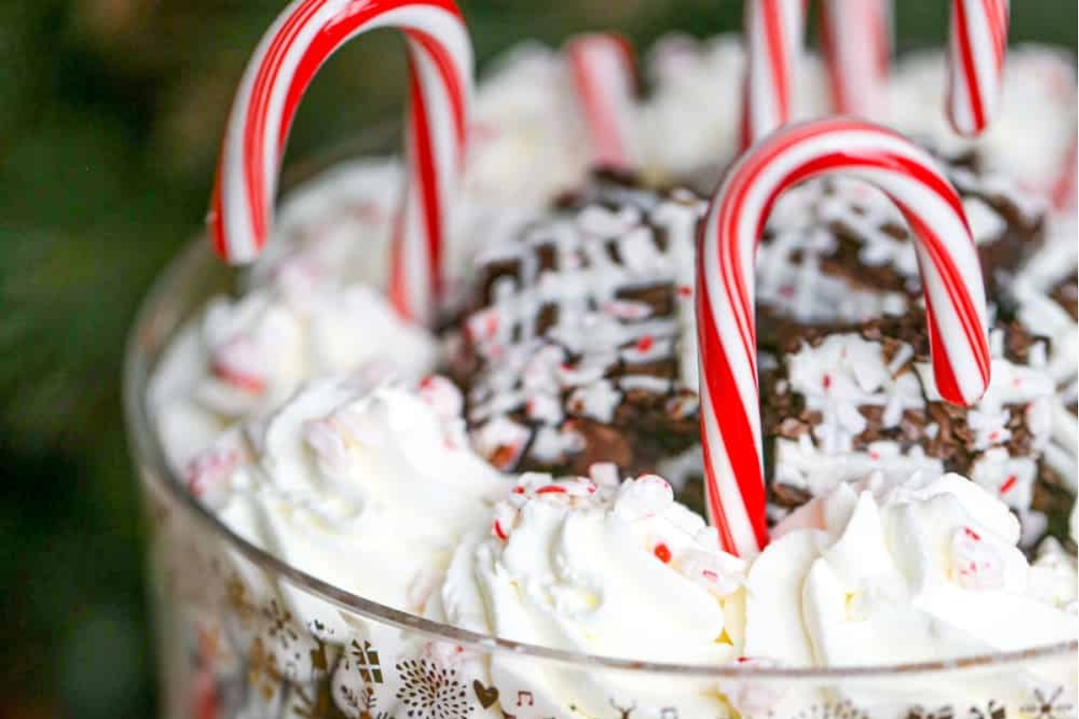 A trifle dessert perfect for Christmas, topped with candy canes and whipped cream.
