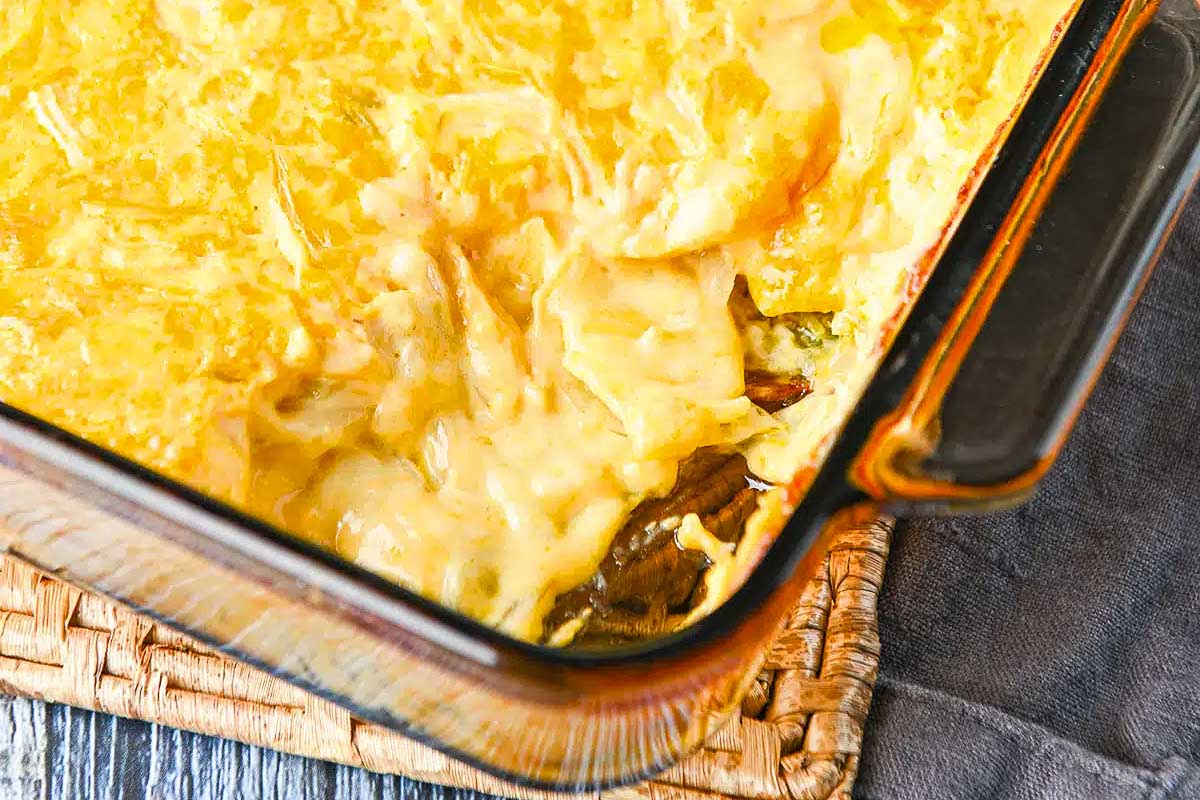 A casserole dish filled with cheesy cheesy cheesy cheesy chees.