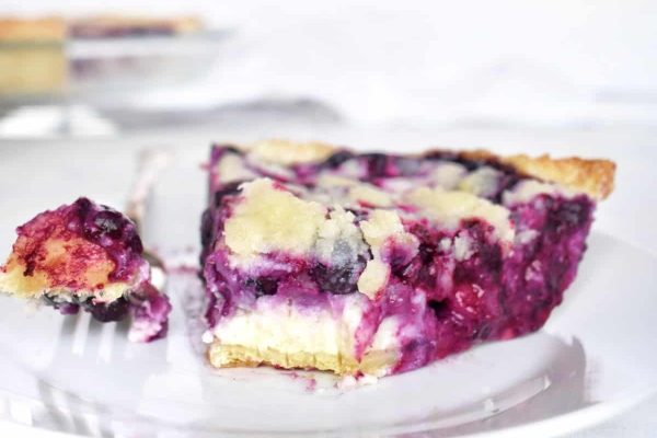 A slice of blueberry pie on a plate.