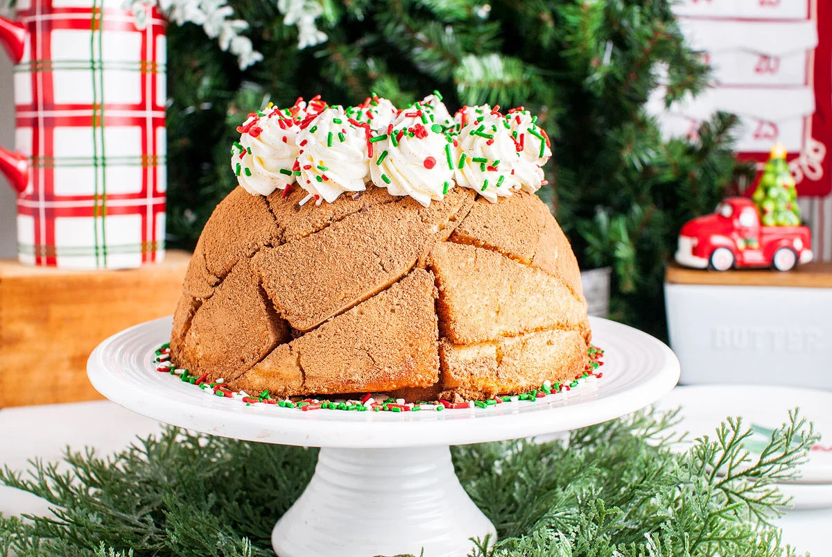 A Christmas cake is sitting on a white plate in front of a Christmas tree.
