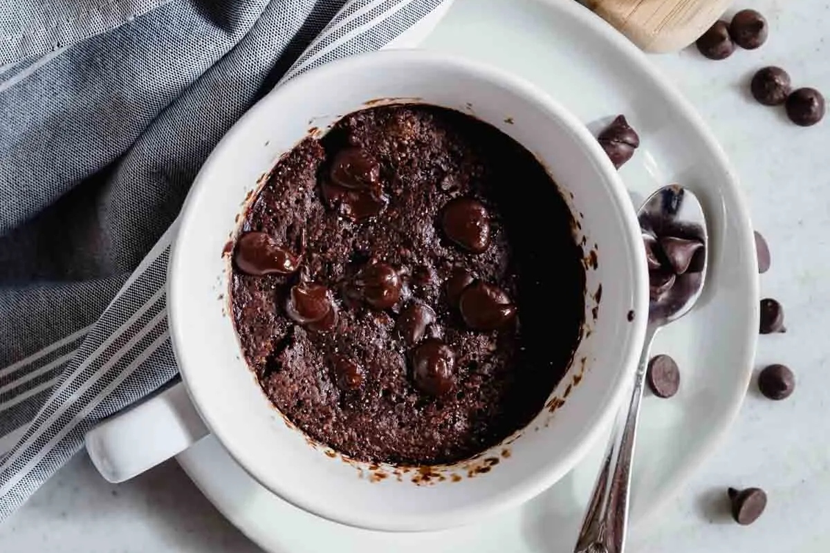 Chocolate pudding with chocolate chips served in a white bowl.