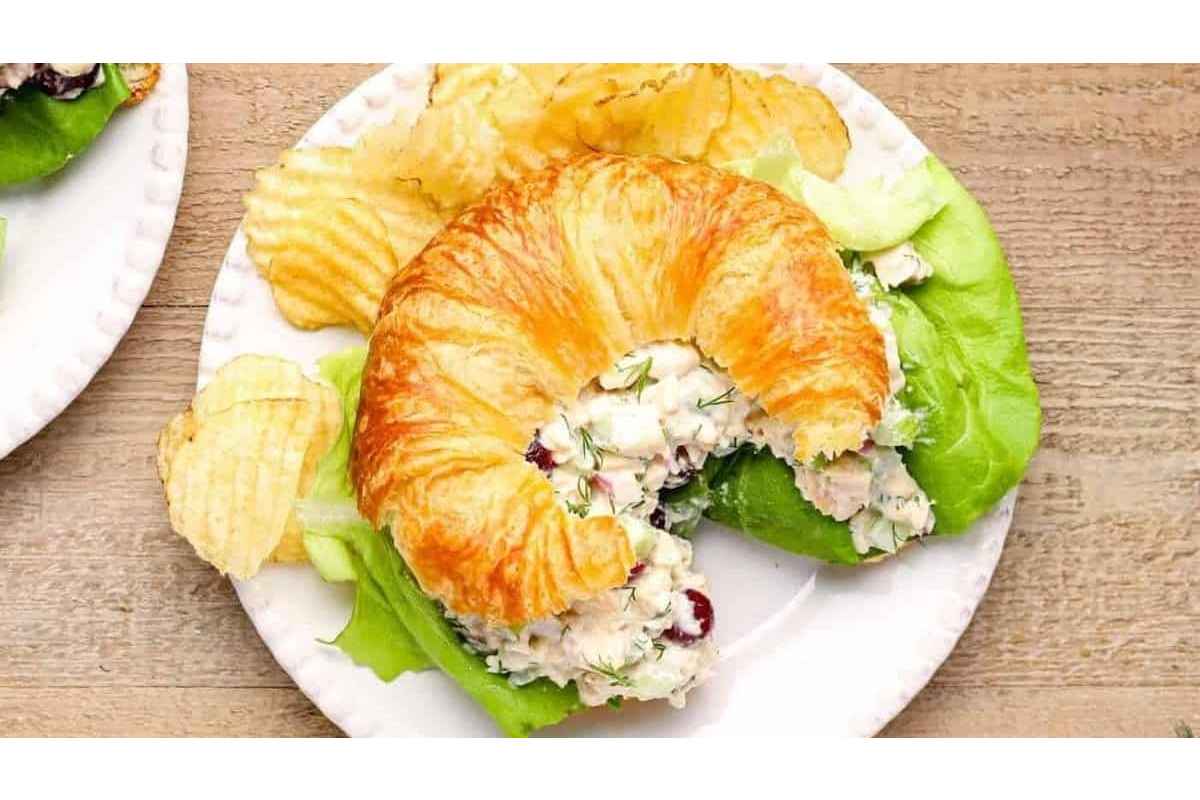 Healthy cranberry chicken salad sandwich on a plate.
